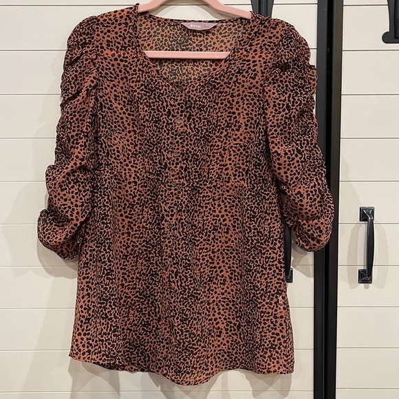 Tops - Animal print blouse with roughing in the sleeves. Buttons down the front.